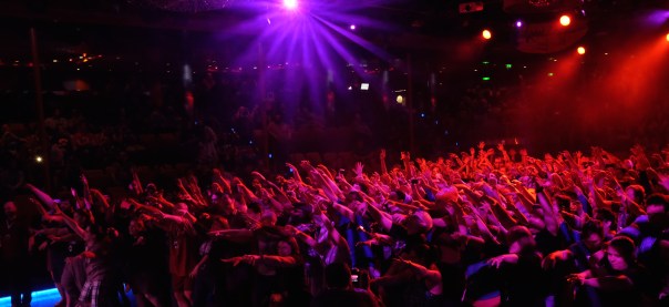 Eat Your Brains Wide View